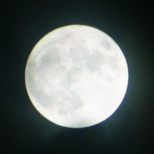 Use a Lua para fazer negócios mais lucrativos